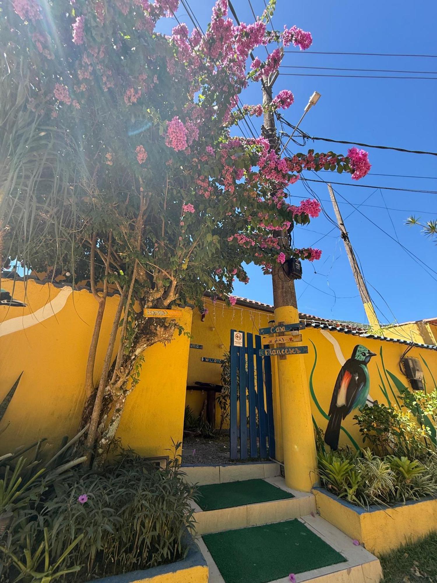 Casa Dos Franceses Guesthouse Ilha Grande 외부 사진